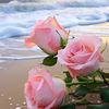 zahrat.aremal