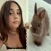 renuuleviosky