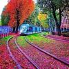 user2040582459610