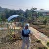suswatun.hasanah7