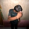 fahrel.restu