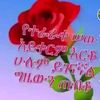 user3829485231862