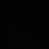 imfed08