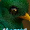 hernndez_rh1