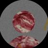 jane0337