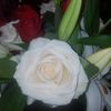 gracieanderson511