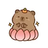 capybara01__