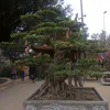 nguyn.qun.qun6