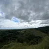 99_65434