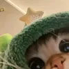 kyleyesha02