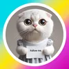 ai cat kitty