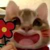 nhuwysbtnoi