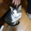 kazuta74