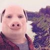 johnpork1013