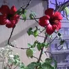 luminia.florea2