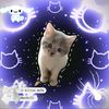 cat_mura.meow