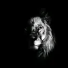 hama_jaff9