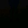 user5495270240000