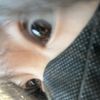 mia._.0530
