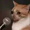 meww0511_