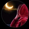 user96091371813266