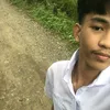 bino4184