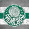 palmeirasoficial016