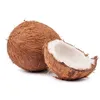 cocco_storto