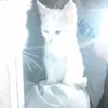zwy_21