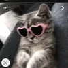 janna8394