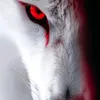 samuray_761