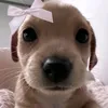 sosohzzk0