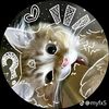 ray661908