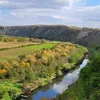 cioroiu.tatiana7