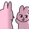 duungxgk10