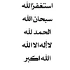 majed.yhia