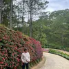 huy.pht01