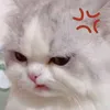 vietpepsi64