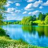 abbas.karim53