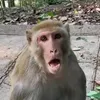 tiktok.ko.binh.thuong