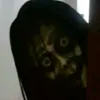 m00n3rs2
