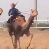 muhammed.oman8