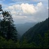_khokhar_80