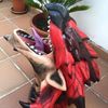rengokingg