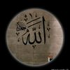 shabbirhussain1627