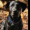 marlin.the.lab
