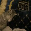 ramar_673