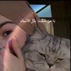 zeerree7