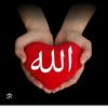 damla38628