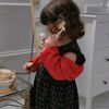 layla.bojazya